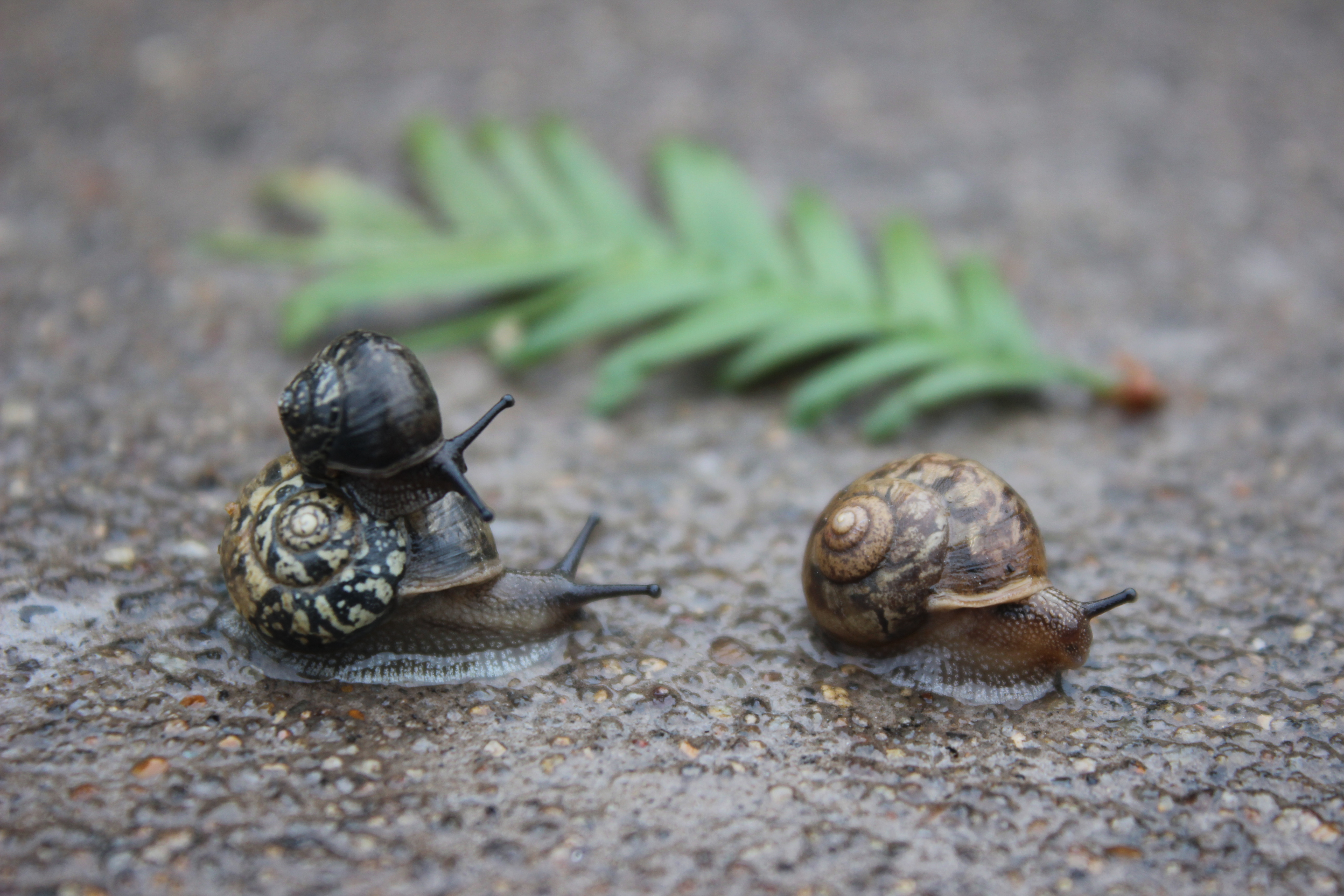 【攝影】爸爸，去哪？